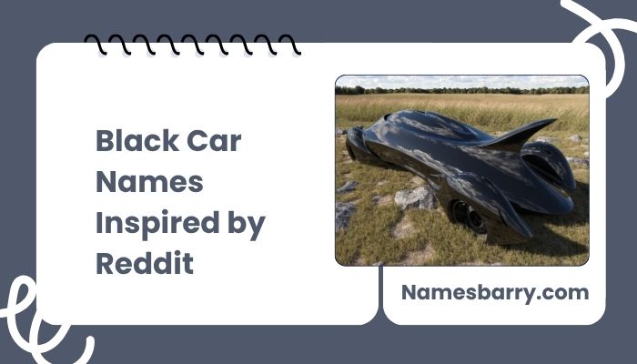 Black Car Names Inspired by Reddit