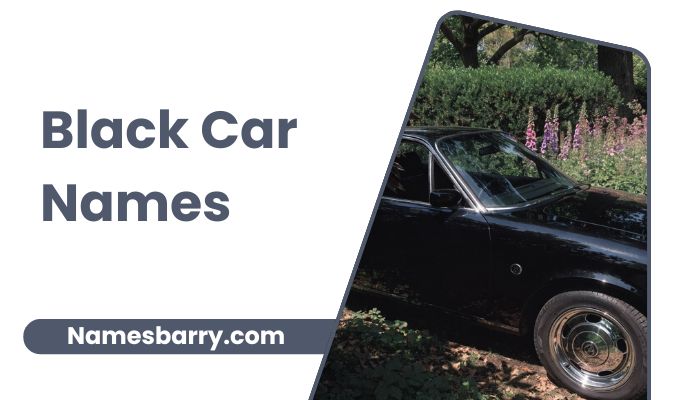 Black Car Names