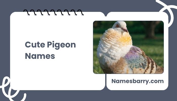 Cute Pigeon Names