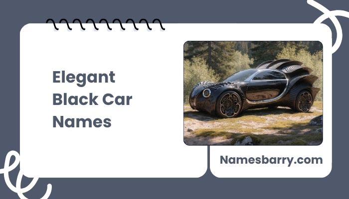 Elegant Black Car Names