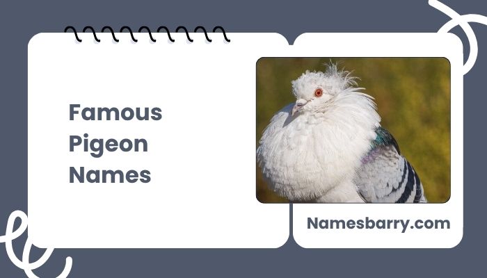 Famous Pigeon Names