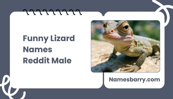 Funny Lizard Names Reddit Male