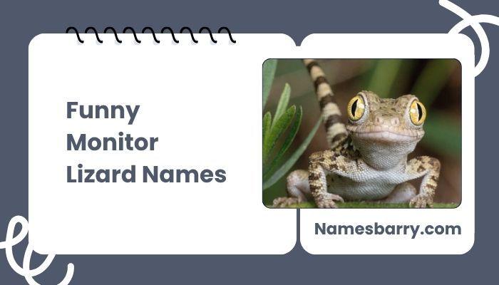 Funny Monitor Lizard Names