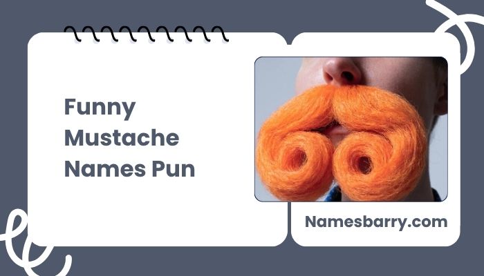 Funny Mustache Names Pun