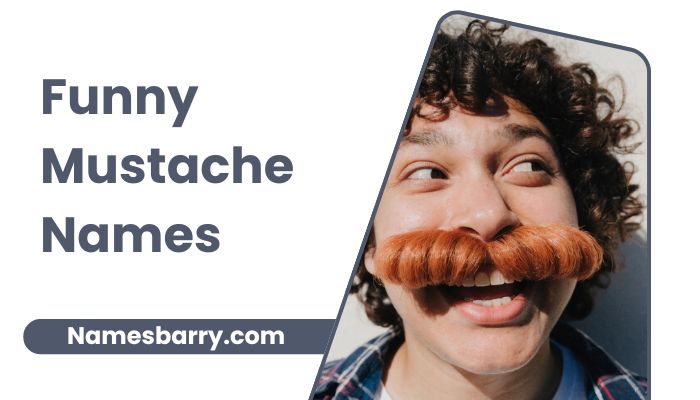 Funny Mustache Names