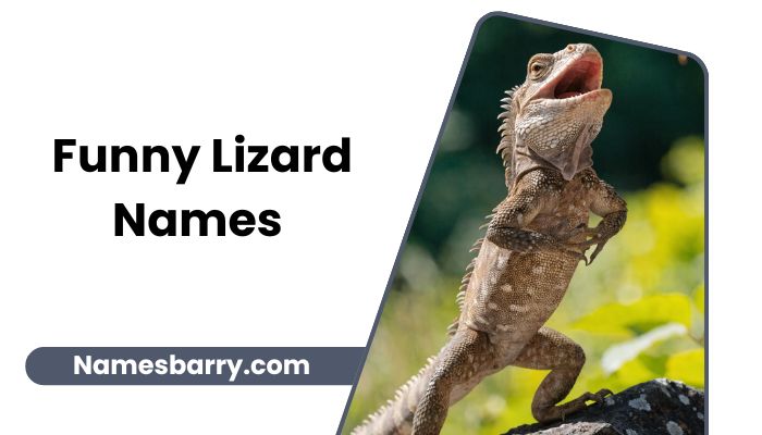 Funny Lizard Names