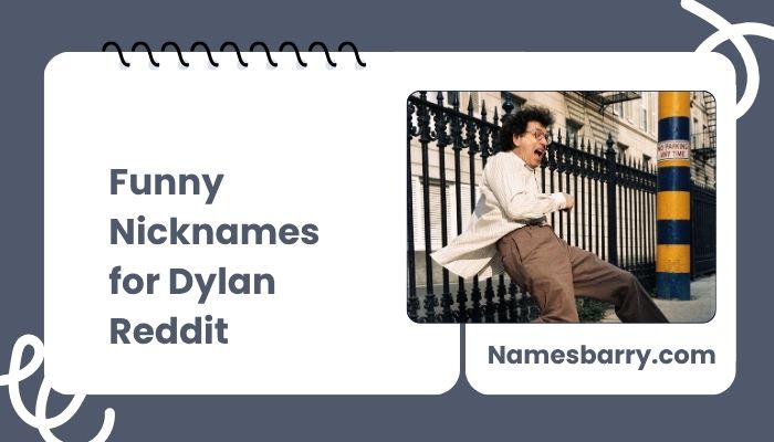 Funny Nicknames for Dylan Reddit