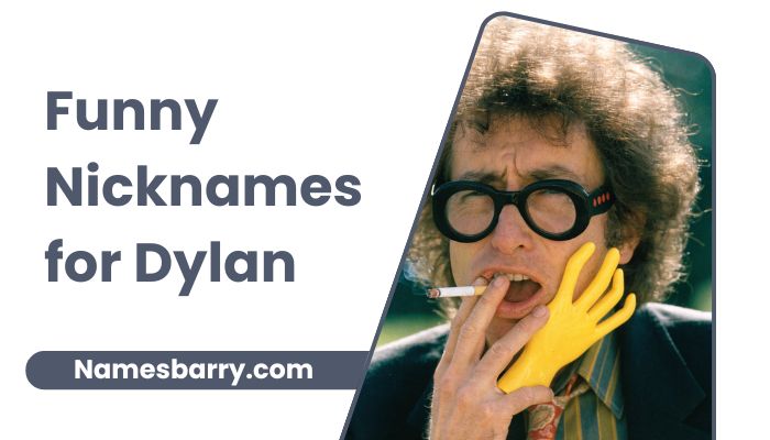 Funny Nicknames for Dylan