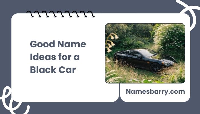 Good Name Ideas for a Black Car