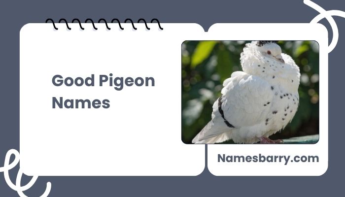 Good Pigeon Names