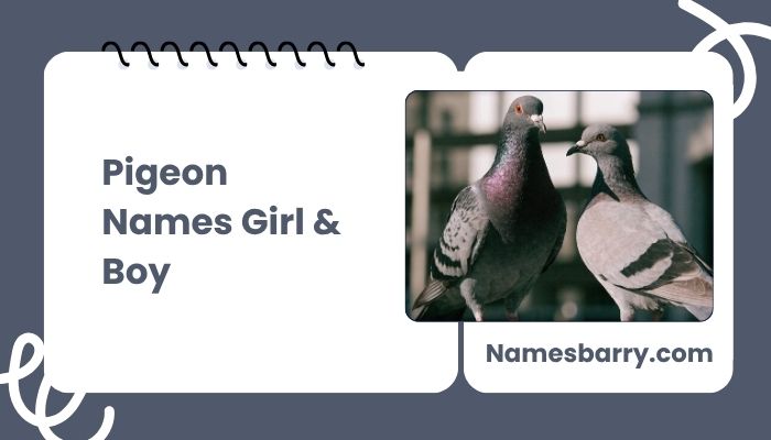 Pigeon Names Girl & Boy