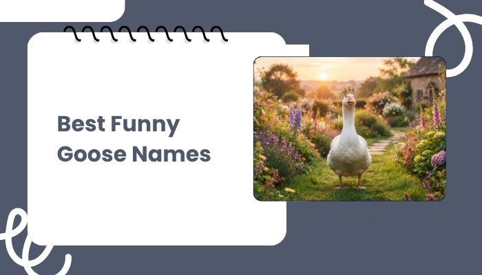 Best Funny Goose Names