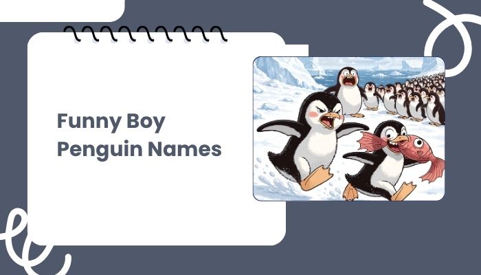 Funny Boy Penguin Names