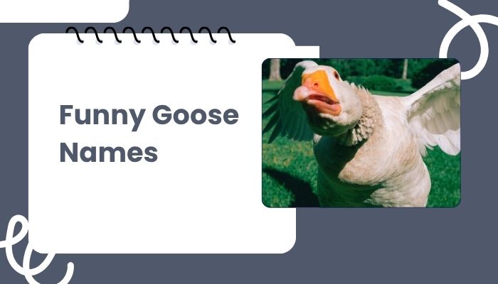 Funny Goose Names