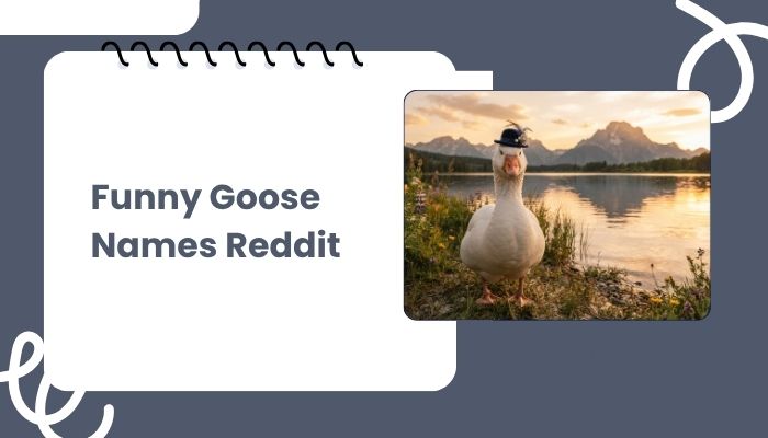 Funny Goose Names Reddit