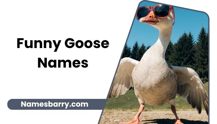 Funny Goose Names