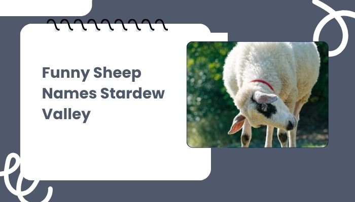 Funny Sheep Names Stardew Valley